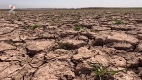 VIDEO Primăvara aduce zăpadă și secetă în România. Agricultorii sunt disperați: „Nu avem ploi și n-avem ce să facem”